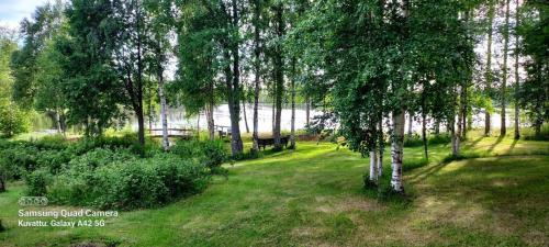 Lintukoto - last minute hotel in Ylikiiminki