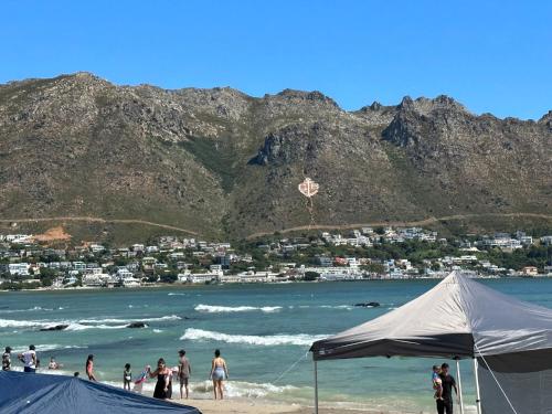 The Elephant House — 4-Star Luxury Hotel in Cape Town, South Africa
