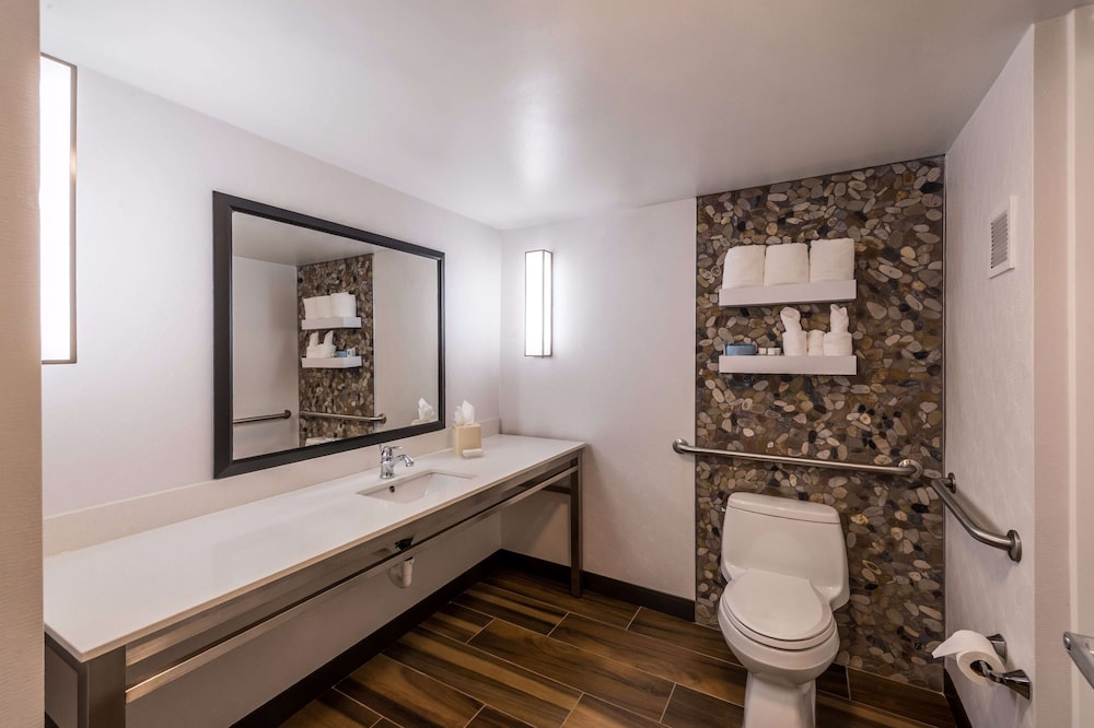 Hilton Garden Inn Detroit Southfield MI - photo 37