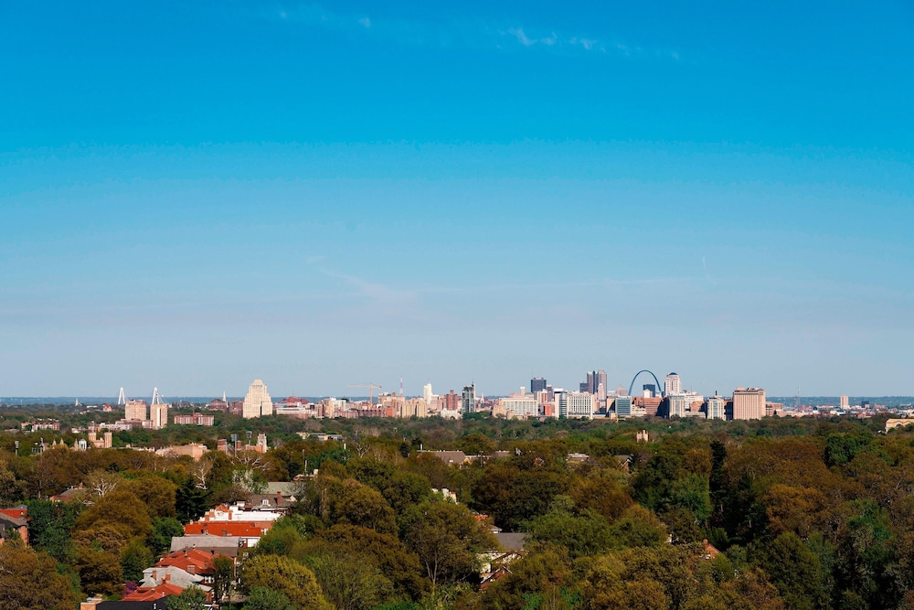 The Ritz Carlton St. Louis - photo 100