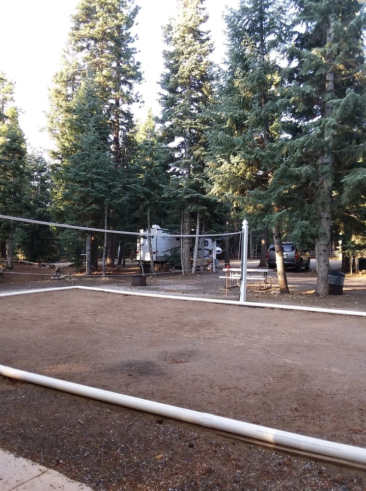 Pinewoods Resort - photo 11