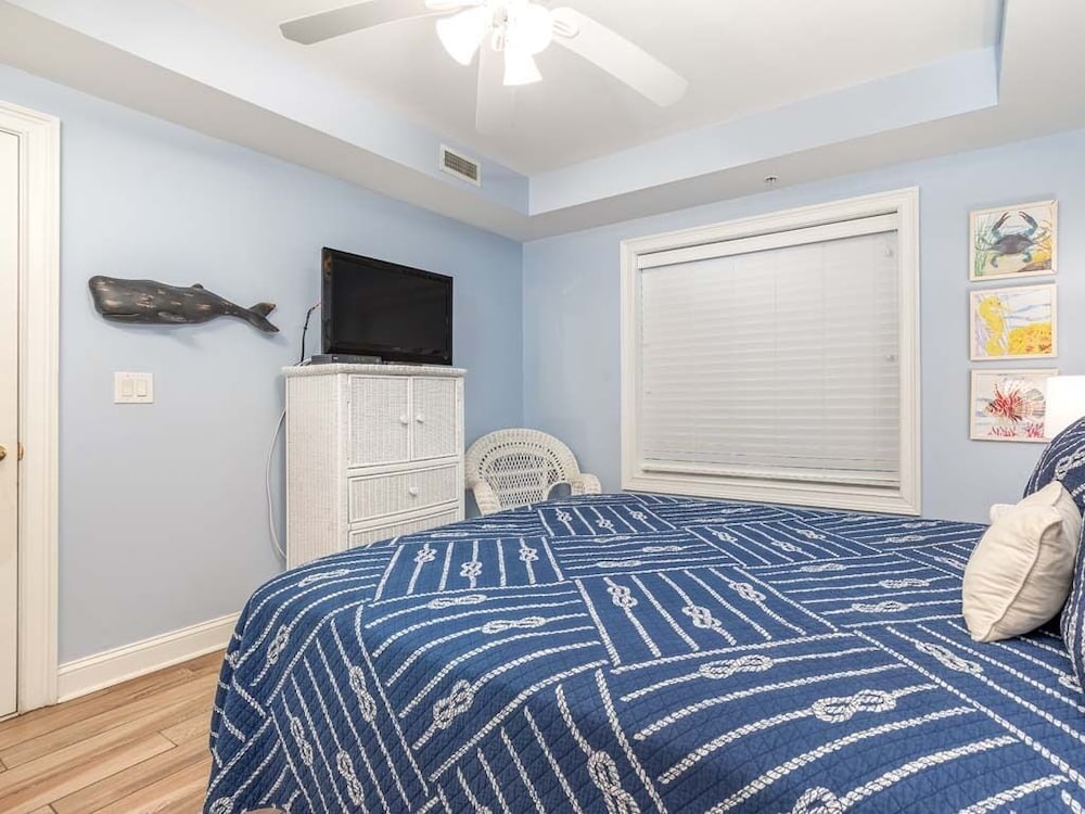 Gull Reef - photo 21