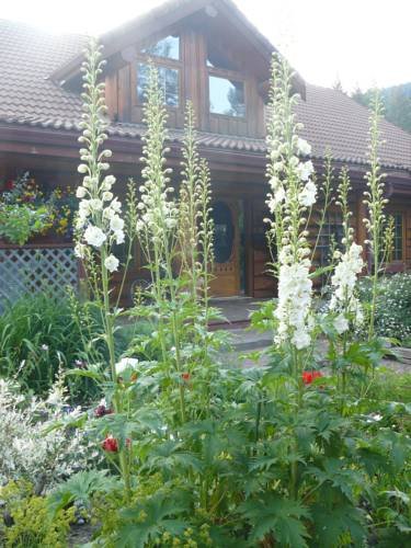 Hitching Post Resort in Kelowna, Canada