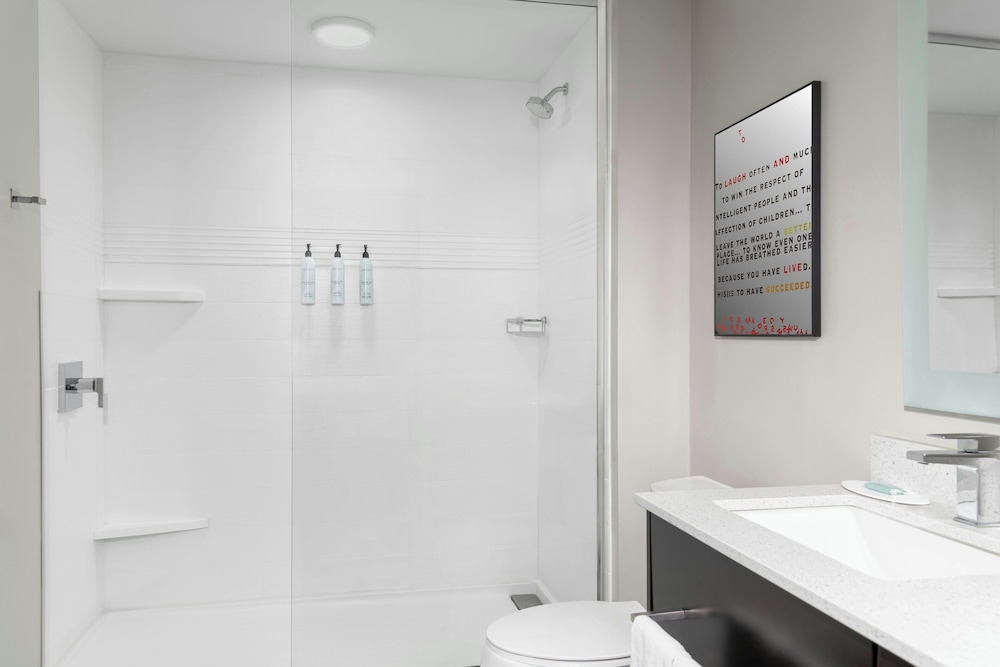 TownePlace Suites by Marriott Detroit Allen Park - photo 30