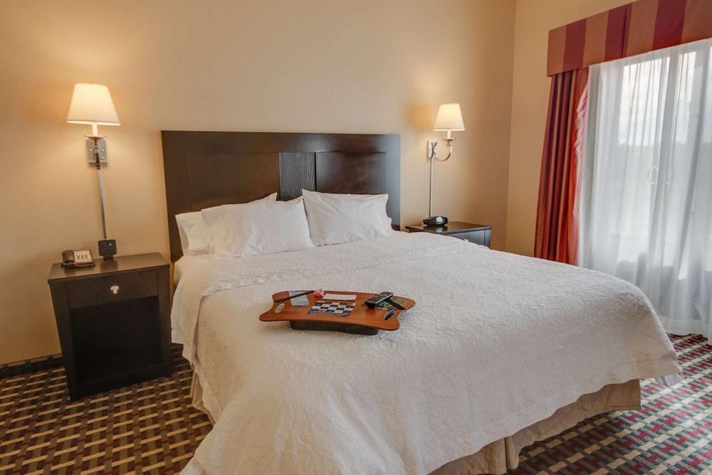 Hampton Inn & Suites Las Cruces I 25 - photo 6