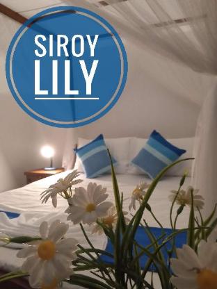 Siroy Lily in Galle, Sri Lanka
