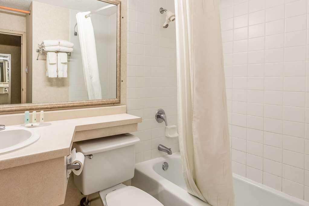 Quality Inn & Suites Brainerd - photo 11