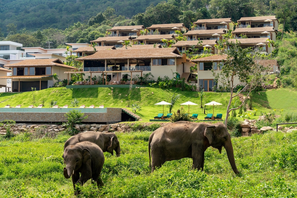 Wild Cottages Elephant Sanctuary Resort in Koh Samui, Thailand