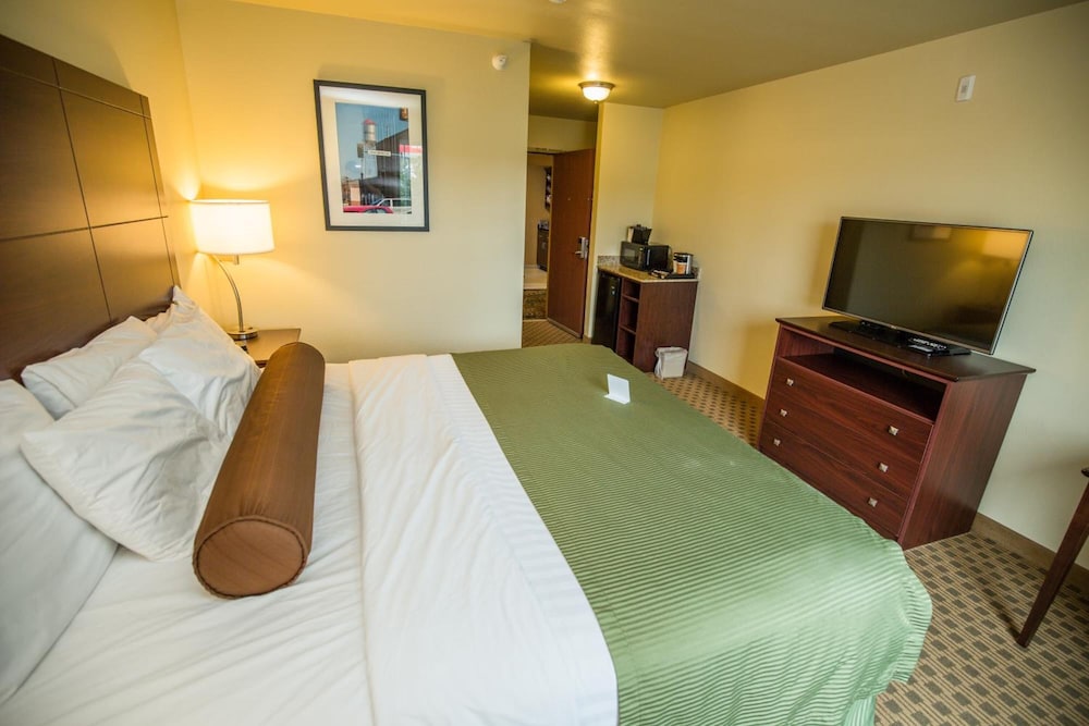 Cobblestone Inn and Suites Winterset - photo 36