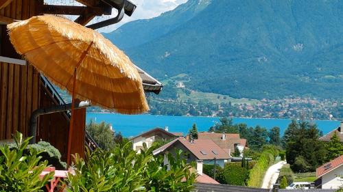 Vue Lac Lodges — hotel in Sevrier