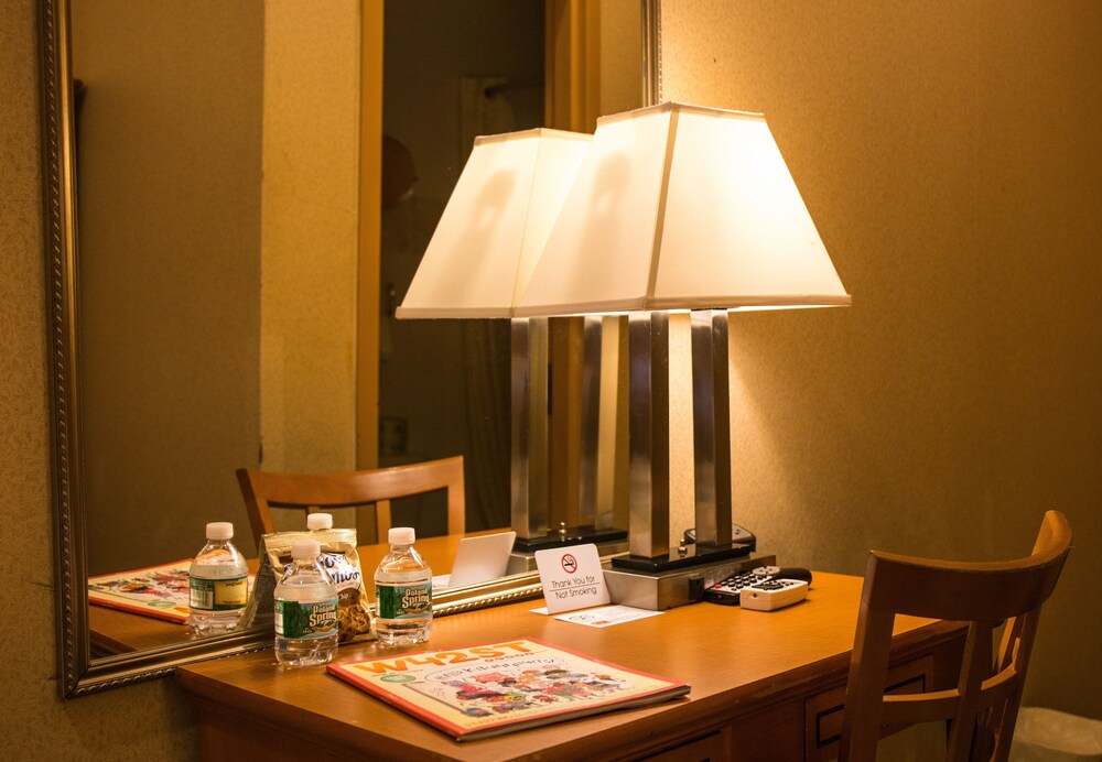 Econo Lodge Times Square - photo 31