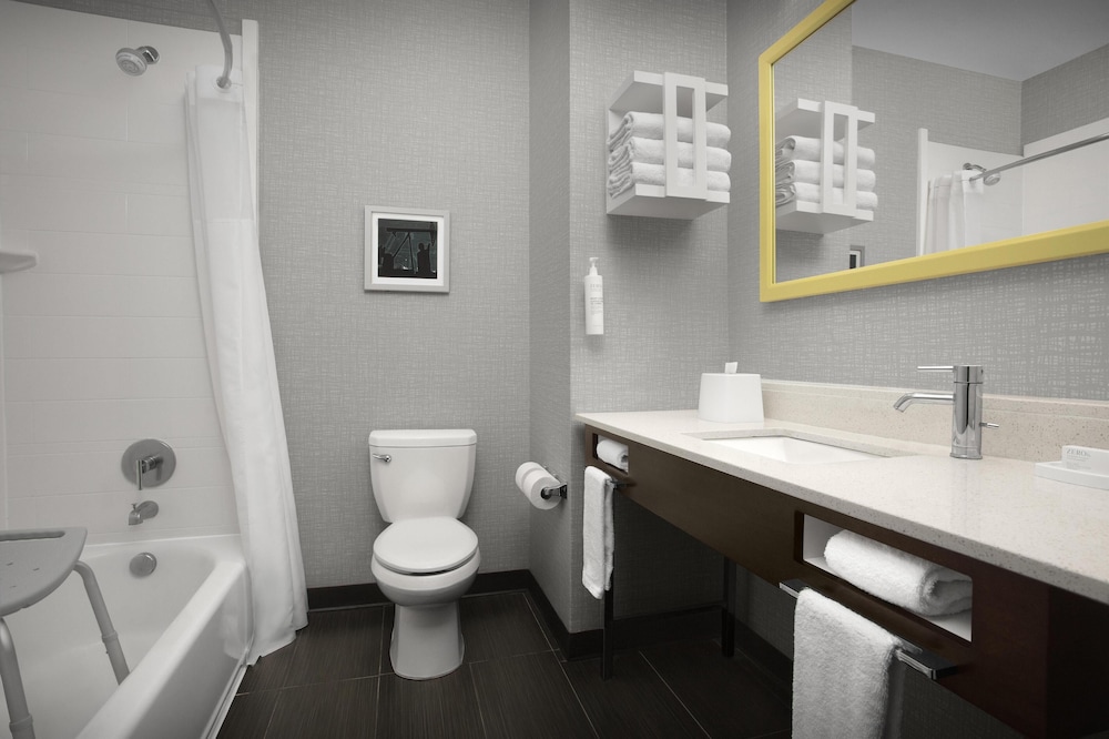 Hampton Inn Monahans - photo 20