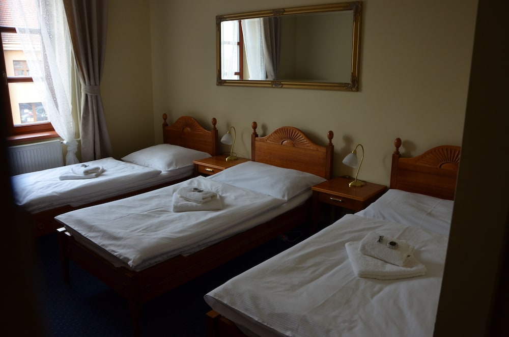 Hotel Sokolský Dům — hotel in Slavkov U Brna