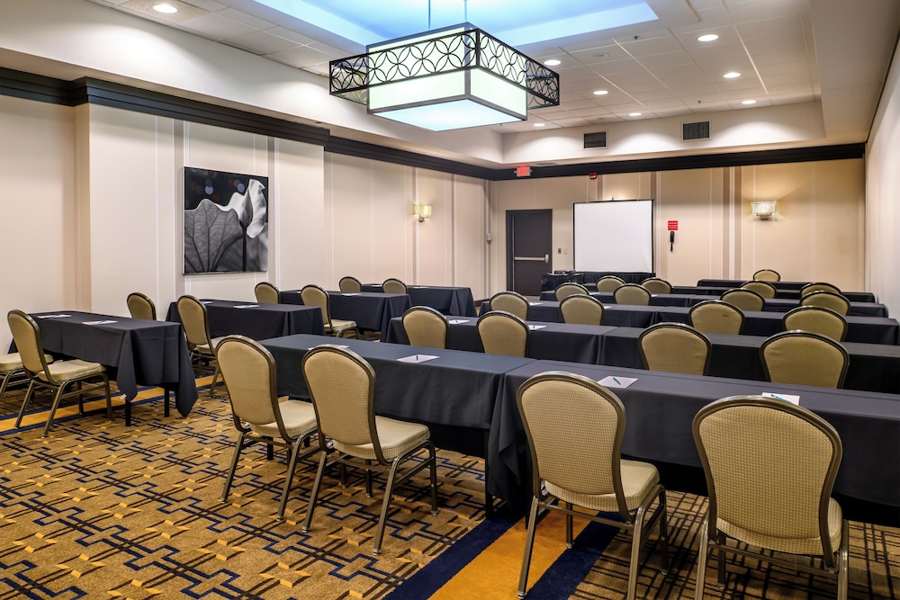 Embassy Suites by Hilton St. Louis Airport - photo 49
