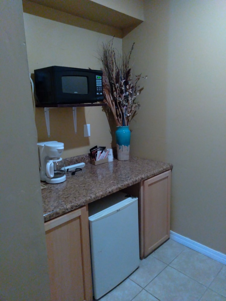 Budget Lodge of Mount Dora - photo 7