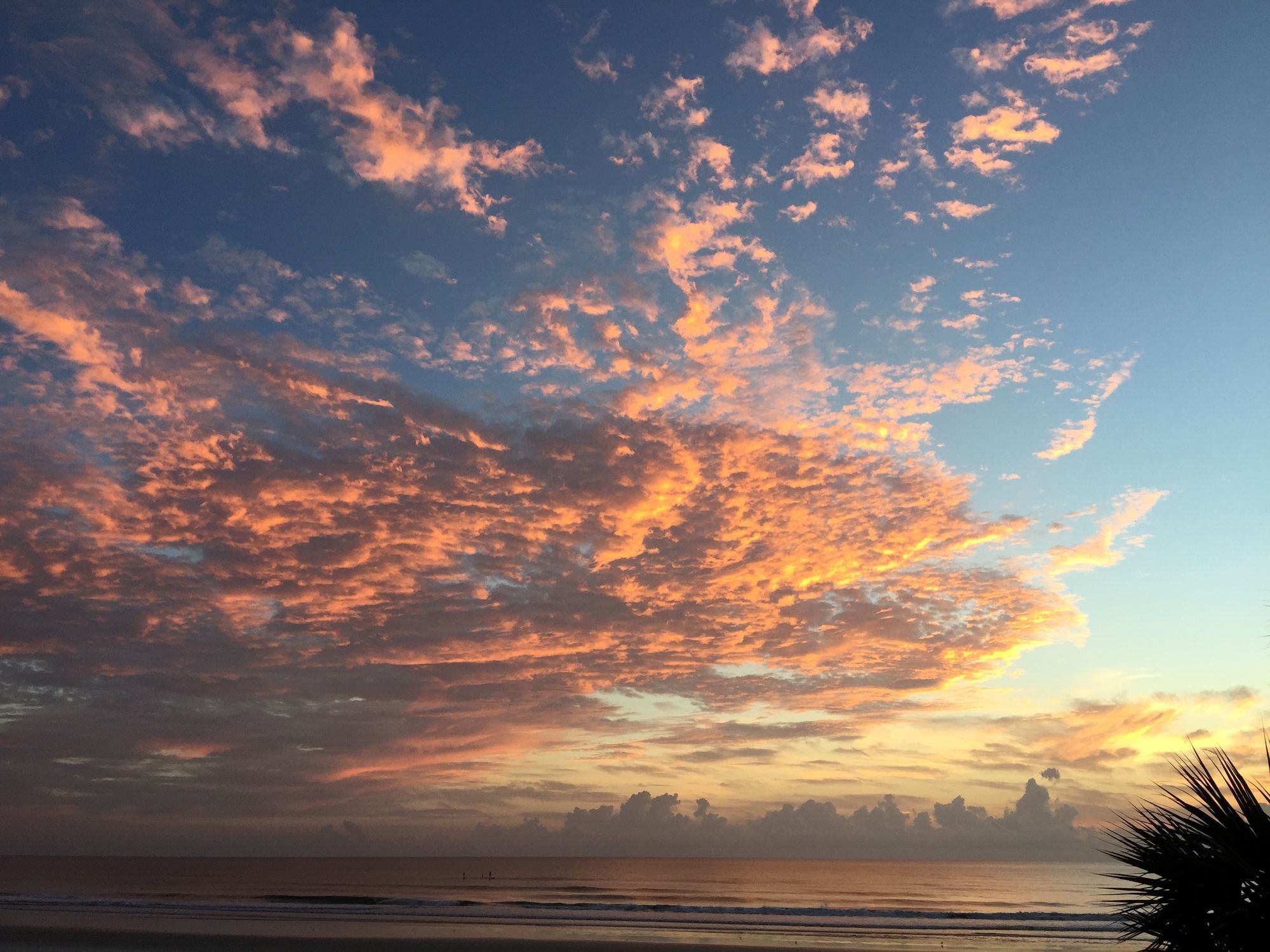Smyrna Beach Club - photo 44
