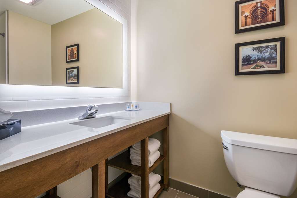 Comfort Inn & Suites Harrisburg Hershey West - photo 29