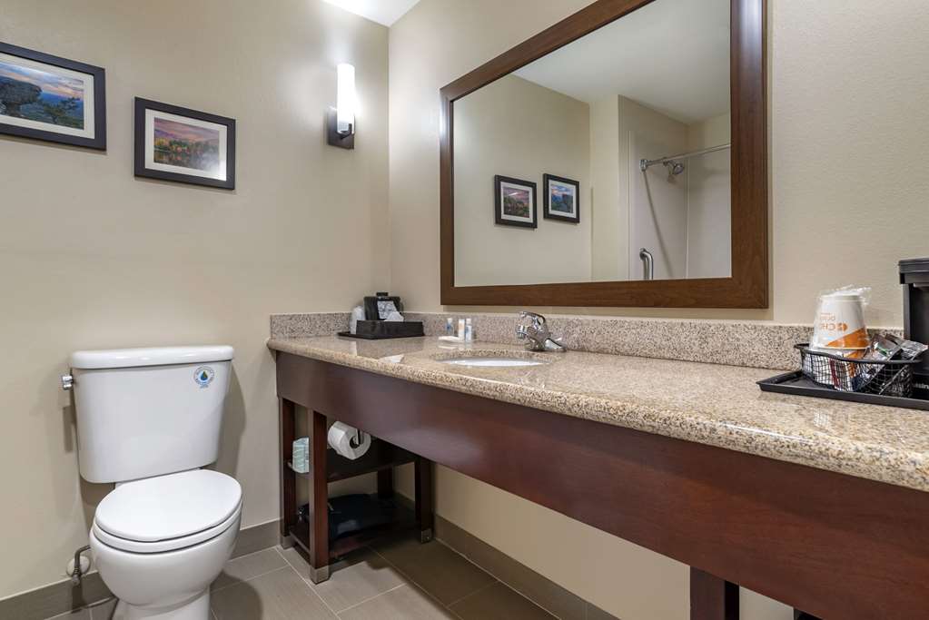 Comfort Suites Pell CIty near Logan Martin Lake - photo 14
