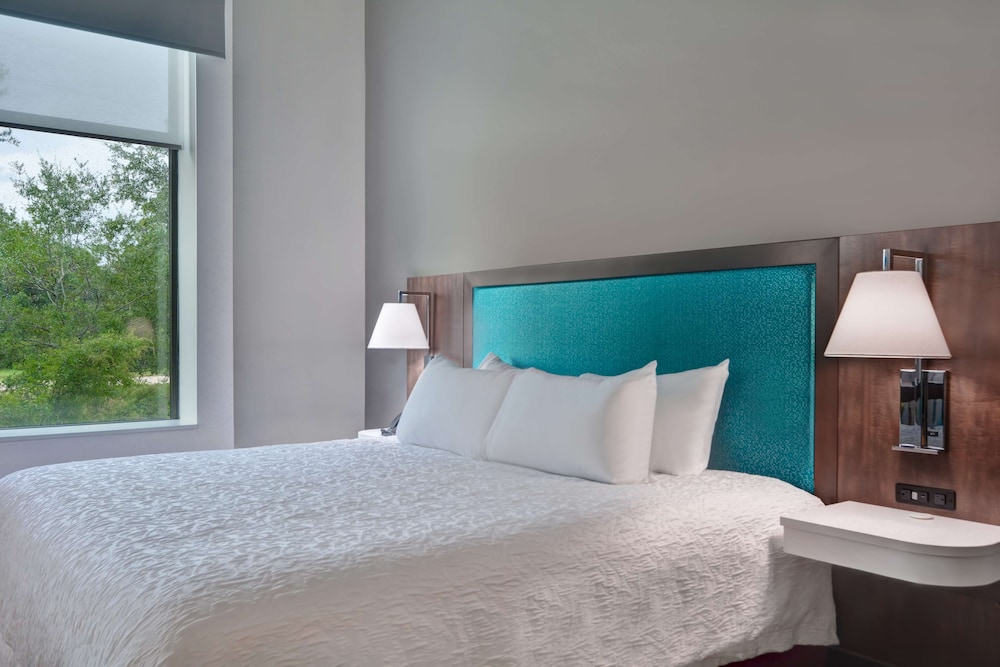 Hampton Inn & Suites Tampa Riverview Brandon - photo 19