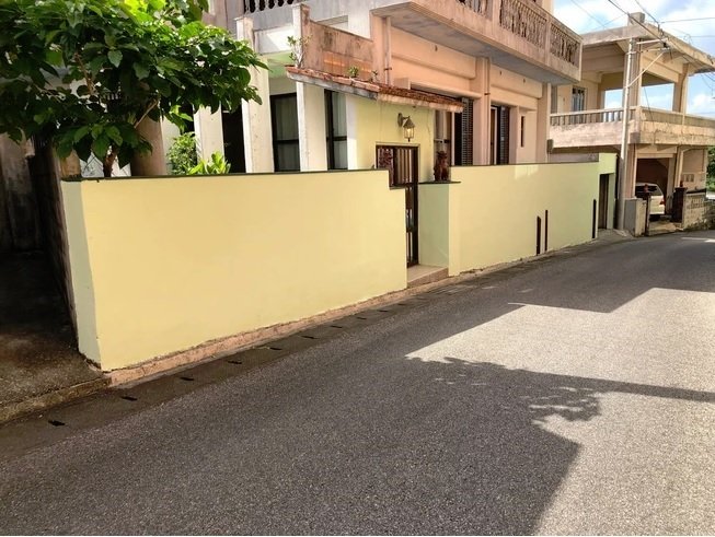 Komorebi in Almaty, Kazakhstan