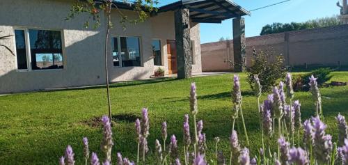 Posada Rojo Malbec in San Rafael, Argentina