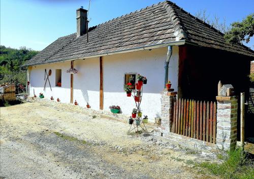 Traditionelles Bauernhaus Flieder in Zalaszentgrot, Hungary