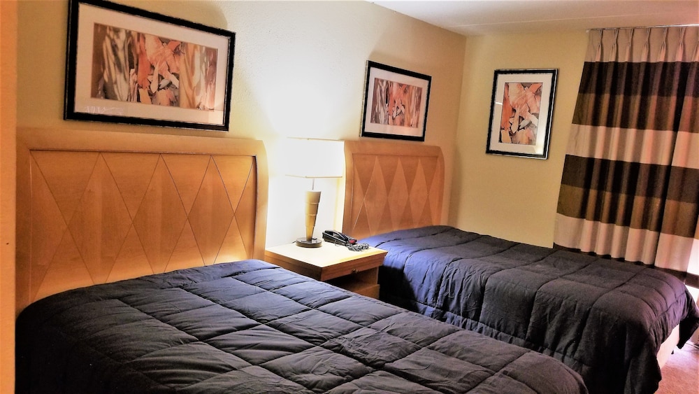 Madison Inn and Suites - photo 6