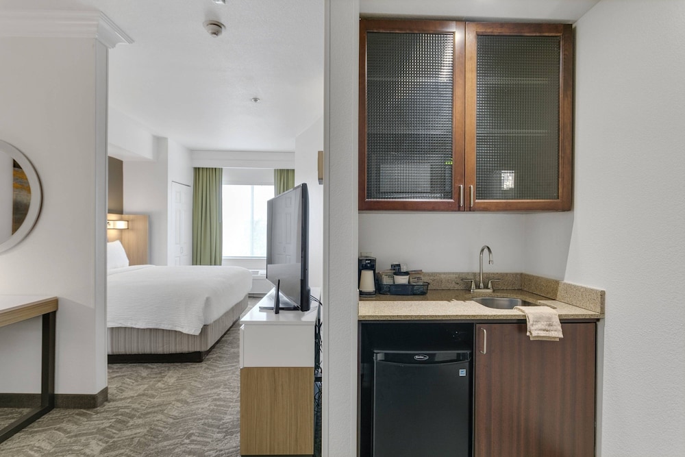 SpringHill Suites by Marriott Sacramento Natomas - photo 10