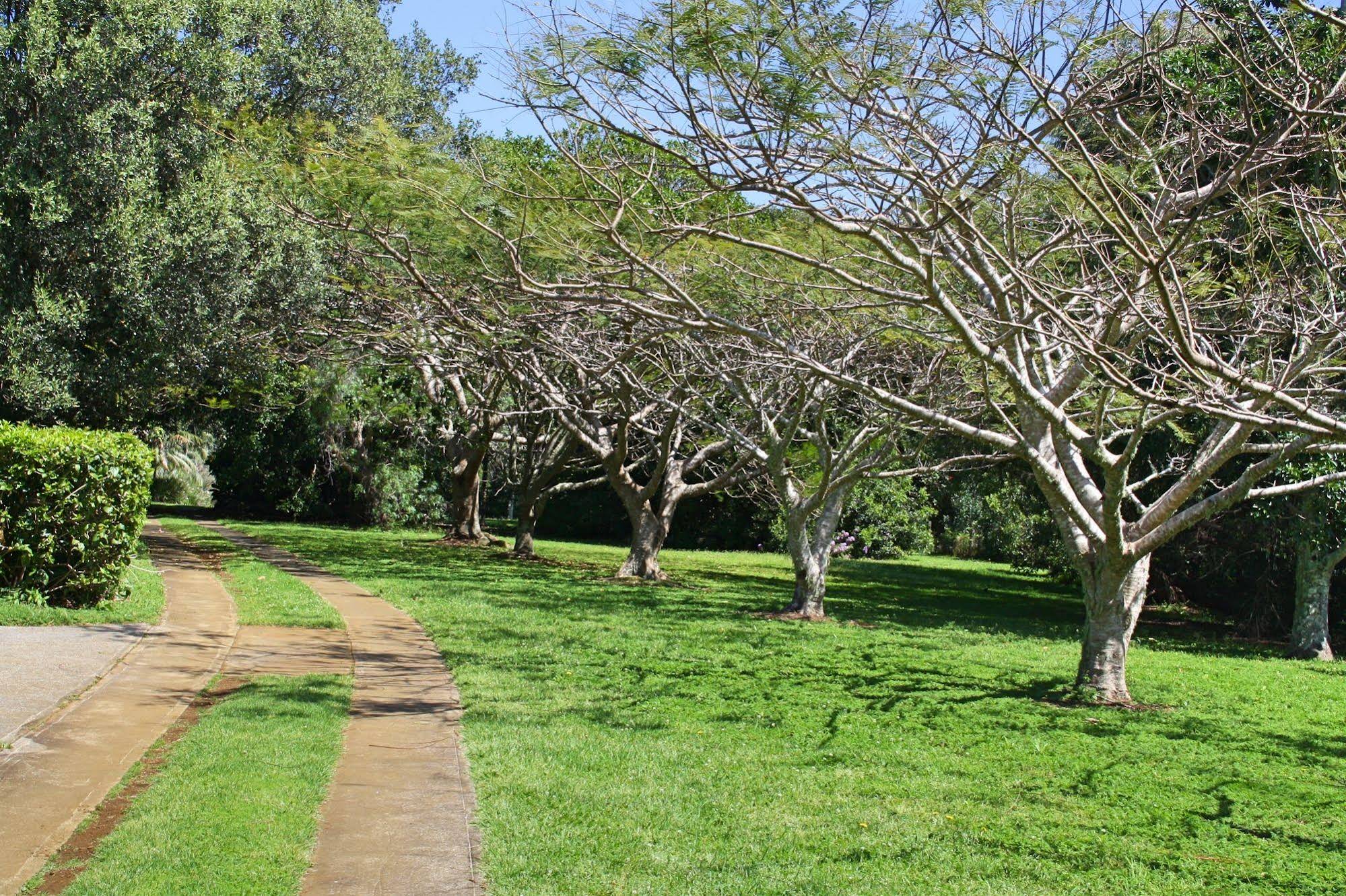 Tau Gardens - last minute hotel in Kingston