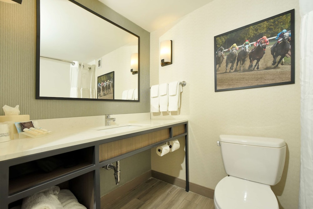 Hilton Garden Inn Saratoga Springs - photo 40