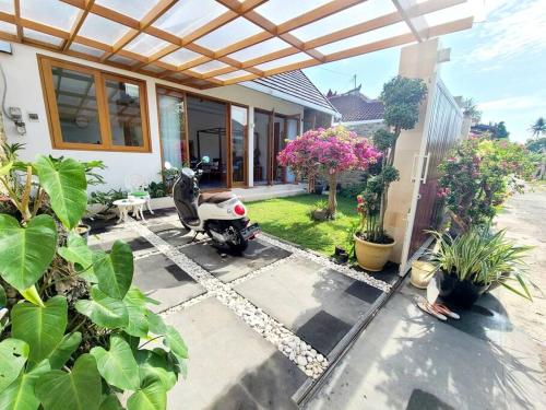 Studio guesthouse 38 in Lovina — 4-Star Luxury Hotel in Lovina, Indonesia