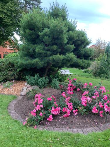 Gartenidylle - last minute hotel in Amelinghausen