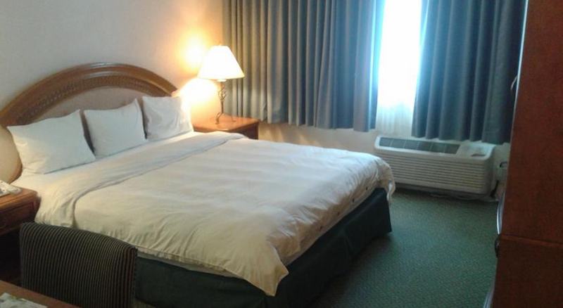 Rodeway Inn & Suites Las Vegas Strip - photo 8