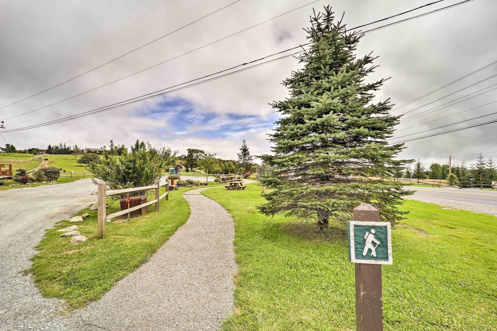 1 Mi to Beech Mtn Resort All Season Home Base - photo 13
