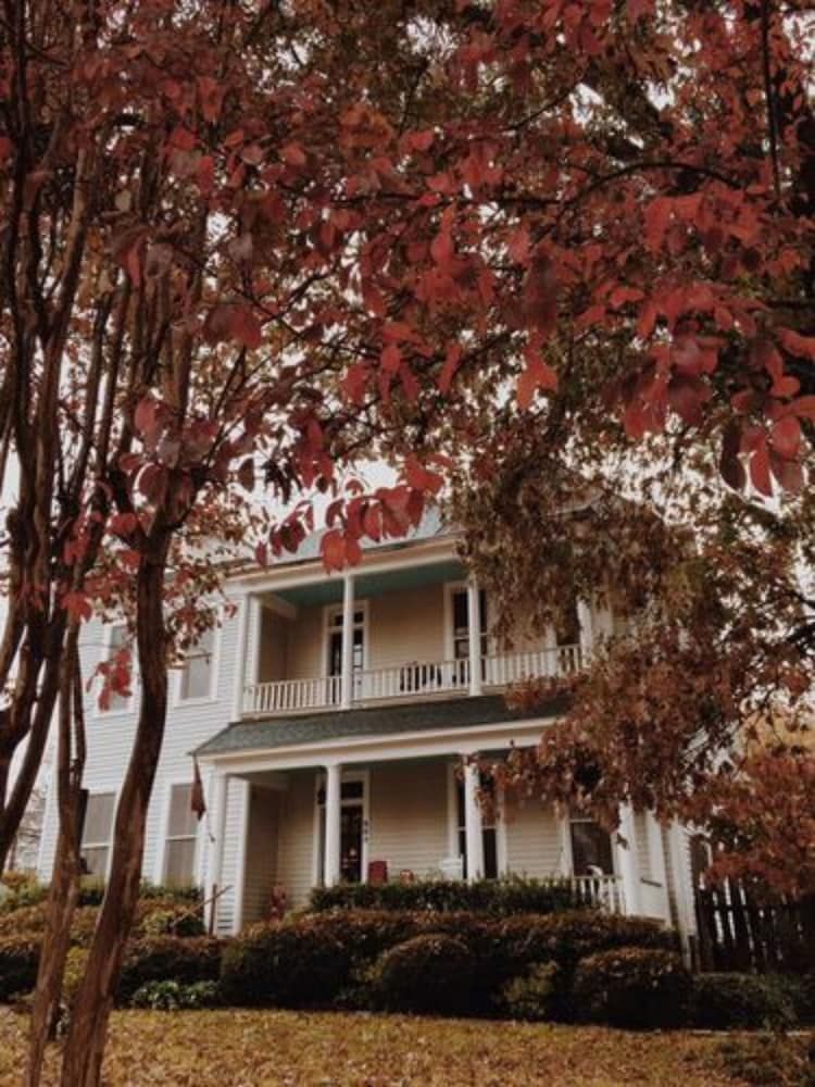 Fig Tree Manor - photo 25