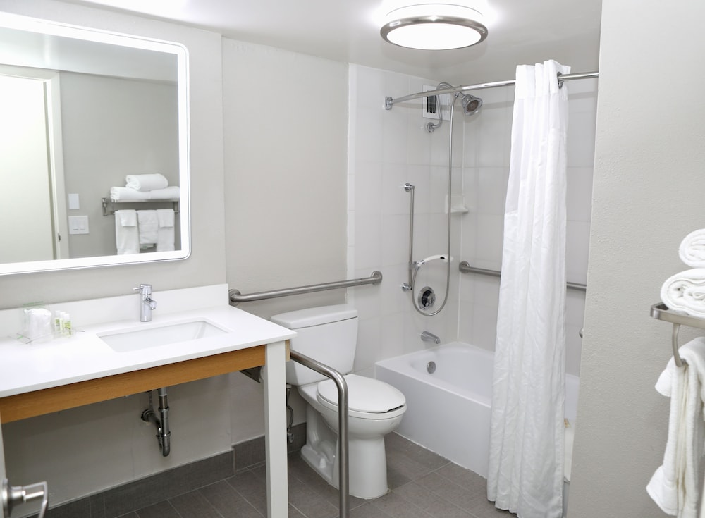 Holiday Inn Chicago O'Hare Area by IHG - photo 38