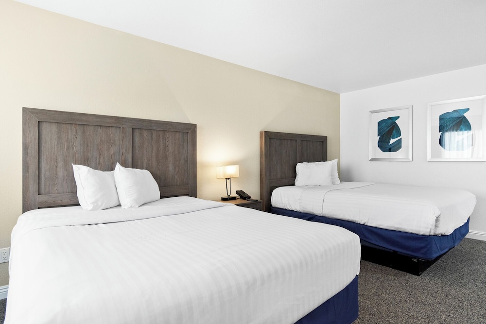Serene Vegas Boutique Hotel Las Vegas - photo 23