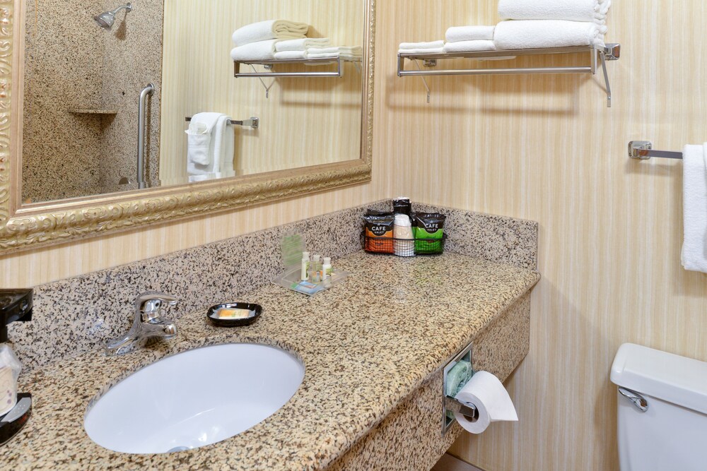 Holiday Inn Great Falls Convention Center by IHG - photo 21