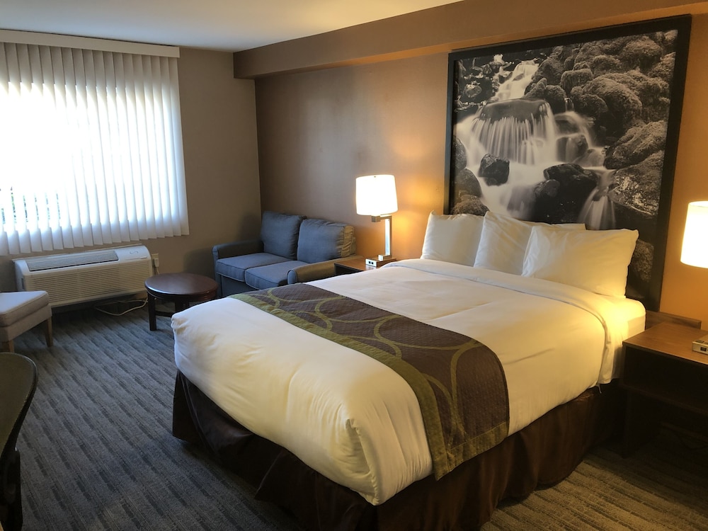 Super 8 Lynnwood - photo 6