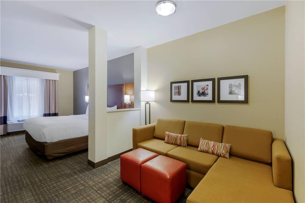 Comfort Suites Loveland - photo 14