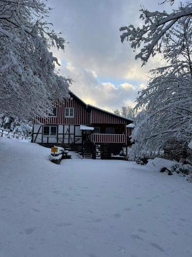 Alte Muhle Das Ferienhaus Mitten Im Grunen — Meschede