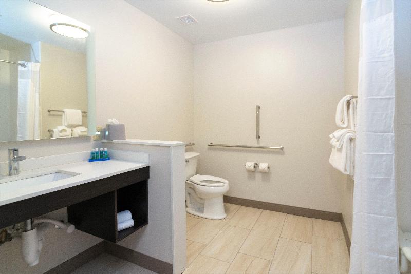 Holiday Inn Express & Suites Allen Park by IHG - photo 22