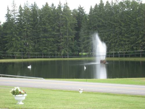 Fountain View Motel - photo 10