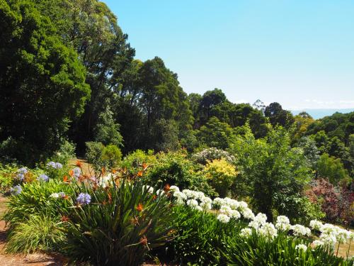 Murrindindi - last minute hotel in Melbourne