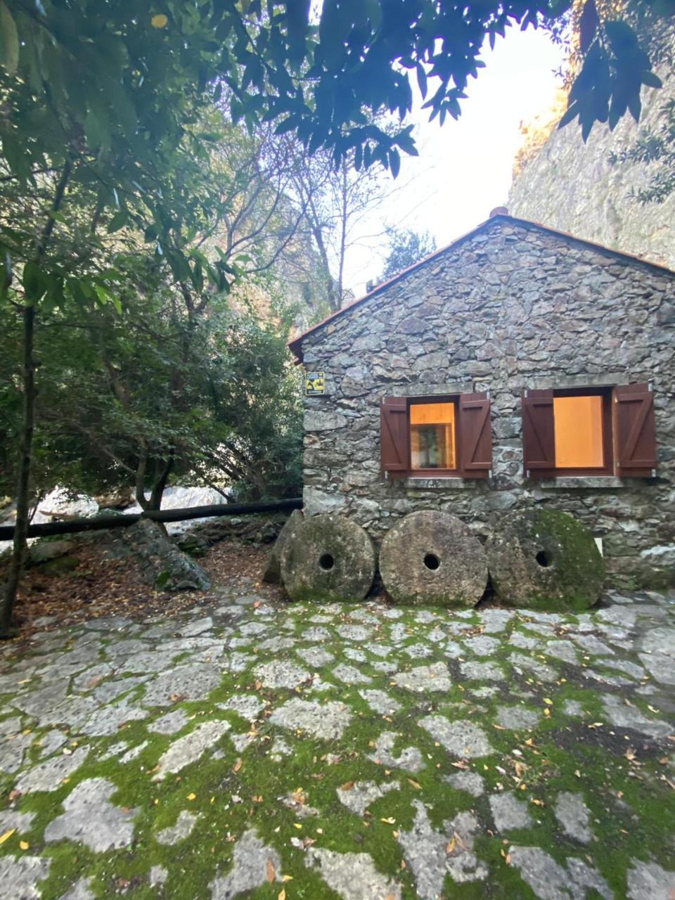 Moinho das fragas — hotel in Figueiro Dos Vinhos