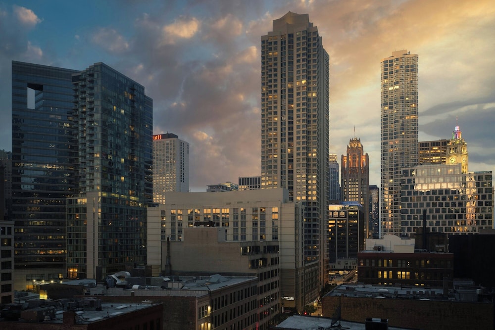 Springhill Suites by Marriott Chicago Downtown River North - photo 10
