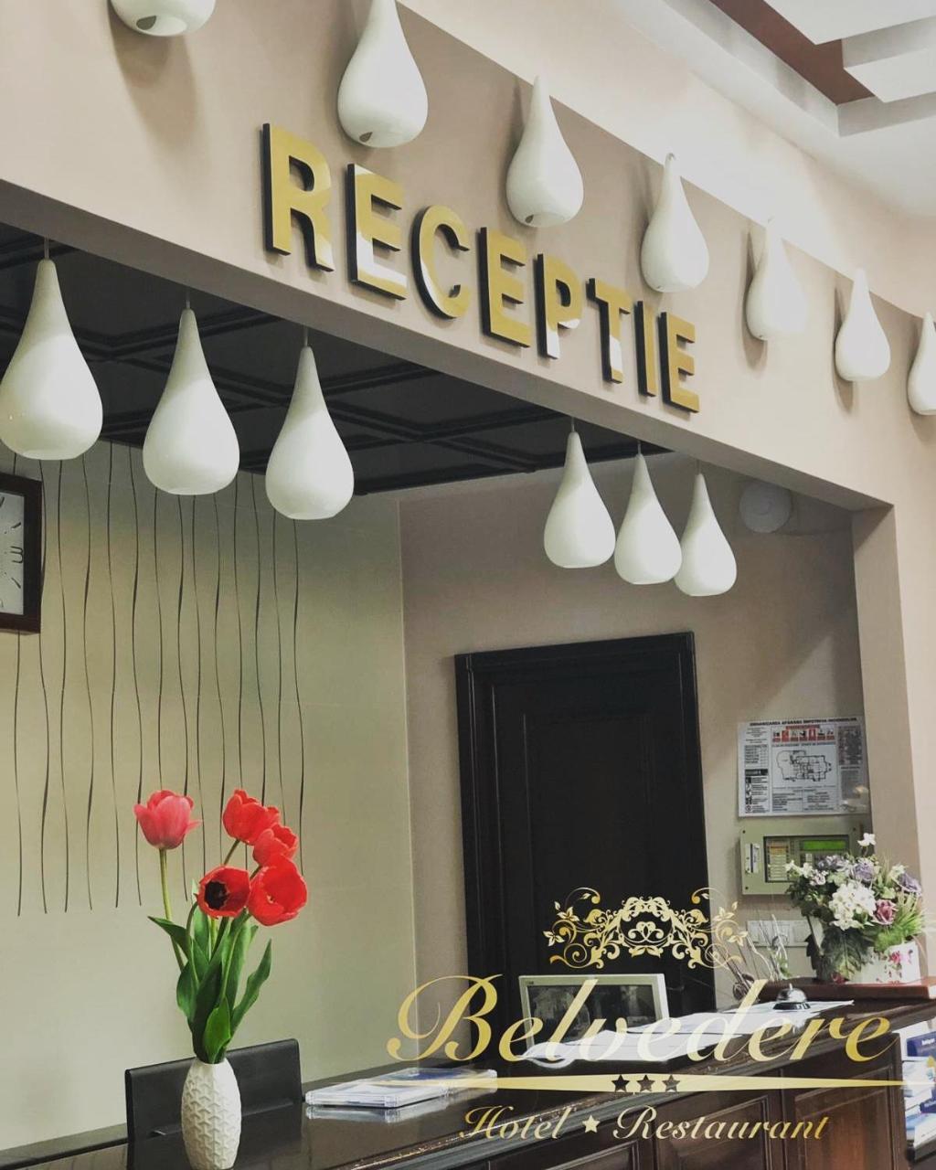 Belvedere - carbon neutral hotel in Botosani