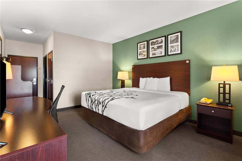 Sleep Inn & Suites Bush Intercontinental IAH East - photo 8