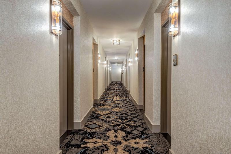 Hilton Garden Inn Chicago Central Loop - photo 19