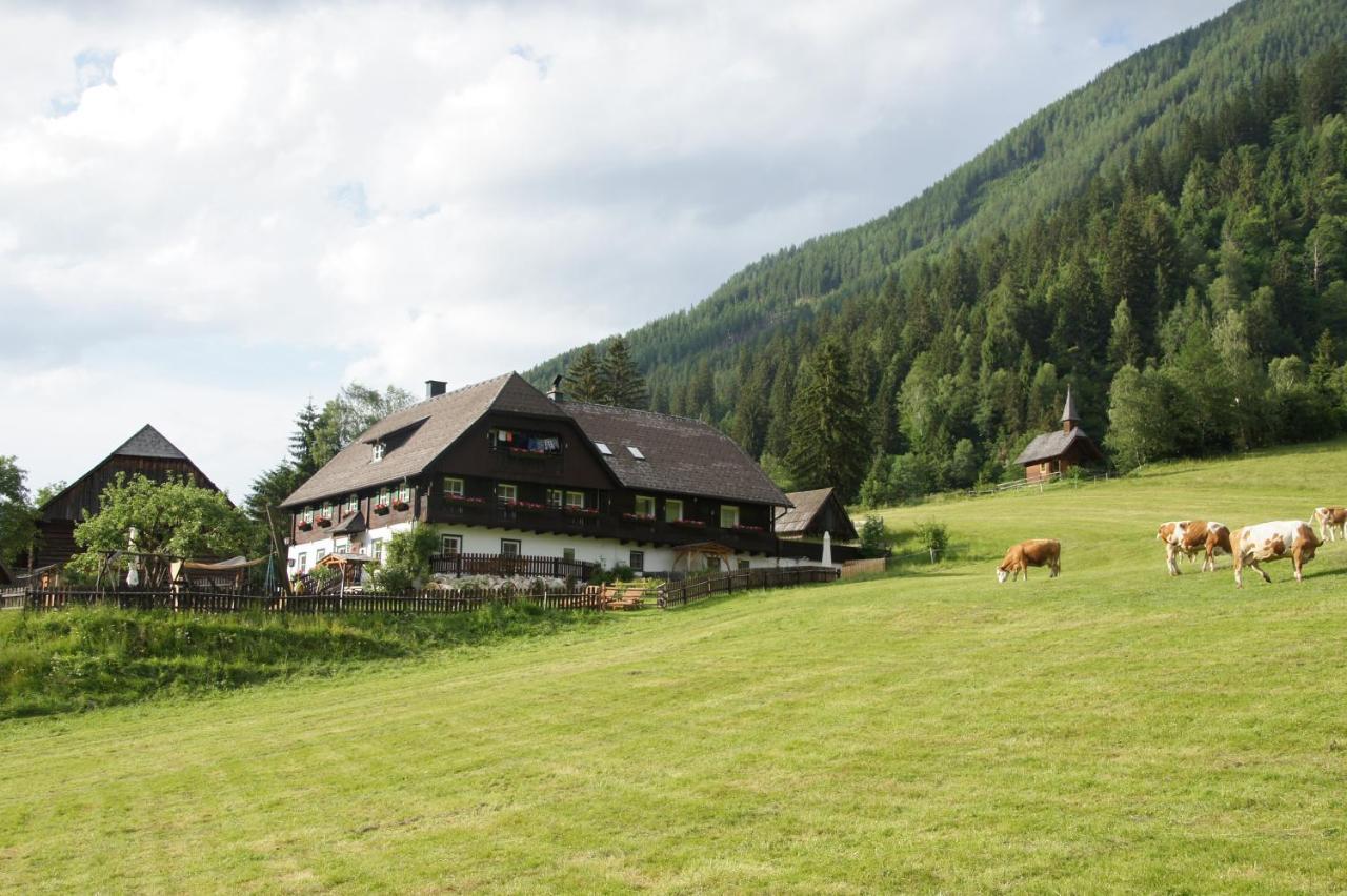 Der Perweinhof — Donnersbach — photo 2